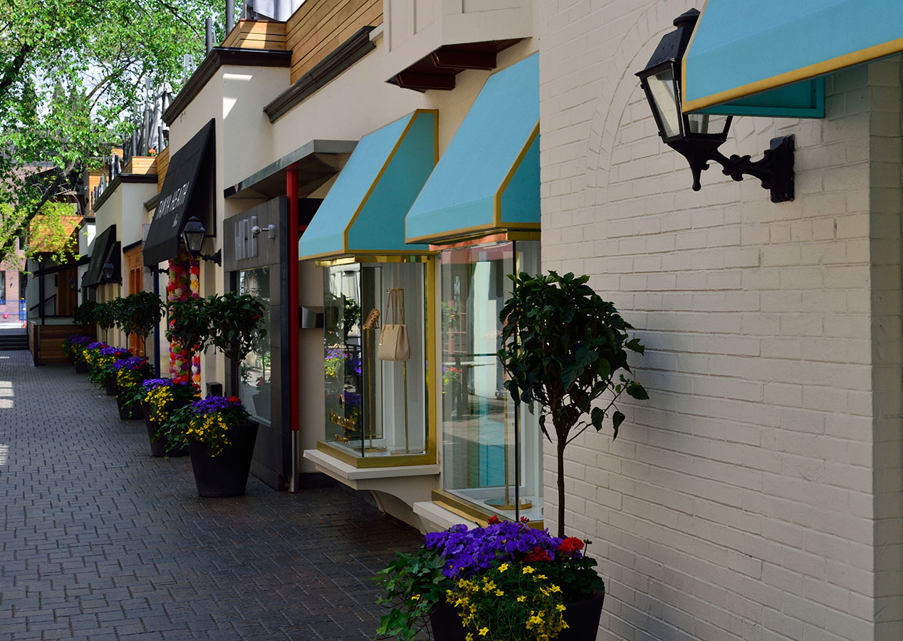 Vaughan Real Estate - Sarnail Singh, CCIM, CBI, Commercial Broker